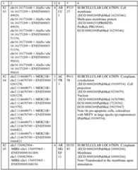 Figure imgf000116_0002