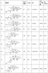 Figure BDA0002889616220003361