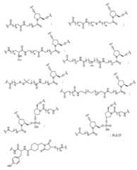 Figure 2023012548000111