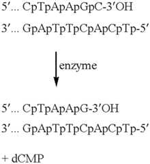 Figure US06391551-20020521-C00004