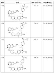 Figure 106108622-A0304-12-0155-463