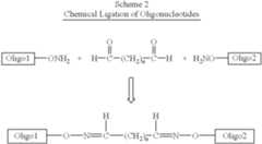 Figure US06506888-20030114-C00004