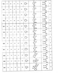 Figure A20081018956901381