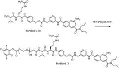 Figure BDA0003652151060001261