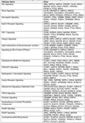 Figure imgf000128_0001