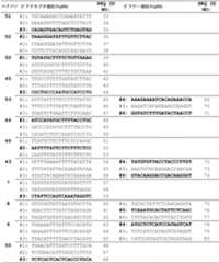 Figure 0007197617000006