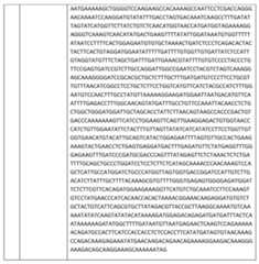 Figure imgf000351_0001