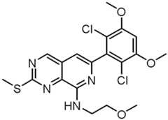 Figure GPA0000263212130000993