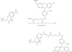 Figure US07199222-20070403-C00003