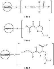 Figure BDA0003783300830001701