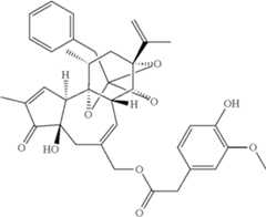 Figure US11234947-20220201-C00002