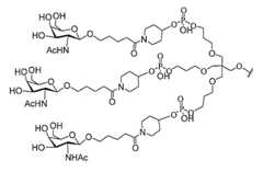 Figure 2023012548000339