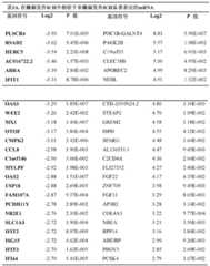 Figure BDA0003347010100000461