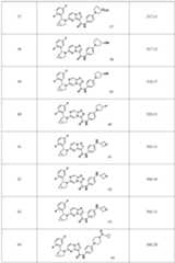 Figure PCTCN2021093930-appb-000079