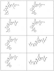 Figure imgf000283_0001