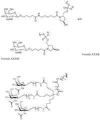 Figure imgf000092_0001