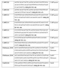 Figure imgf000025_0001