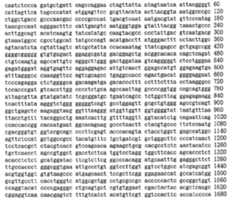 Figure 104109152-A0305-02-0130-9