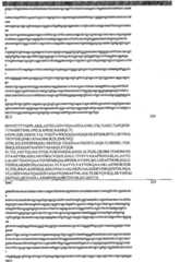 Figure GPA00001077157301281