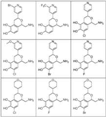 Figure imgf000033_0001