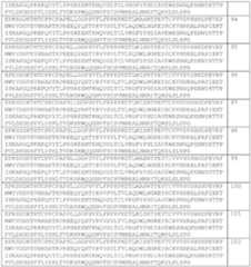 Figure imgf000155_0001