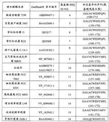 Figure BPA00001178557700201