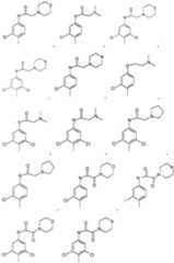 Figure imgf000017_0001