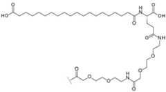 Figure imgf000028_0003