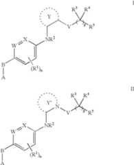 Figure US07547782-20090616-C00002