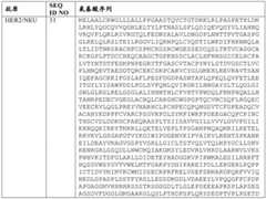 Figure BDA0002808063770000842