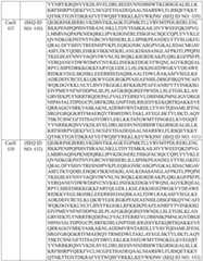 Figure BDA0003627552160002201