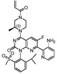 Figure BDA0002861043520000933