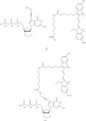 Figure US09388464-20160712-C00029