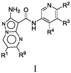 Figure FDA0002307903110000101