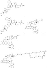 Figure imgf000142_0001