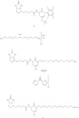 Figure US07141676-20061128-C00025