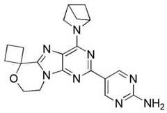 Figure BDA0001402557760001811