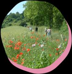 Paysage Pays d'Opale