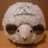 mei331's icon