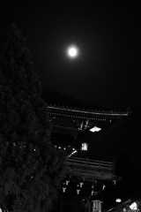 月夜　2006.03.14_f0014971_226271.jpg