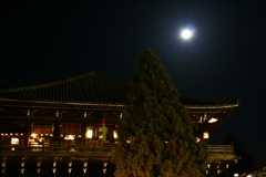 月夜　2006.03.14_f0014971_239232.jpg