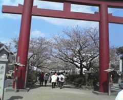 お道ブログ　３月２９日_e0002690_11411660.jpg