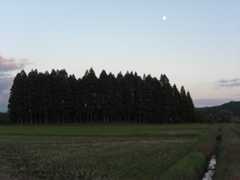 深井塾・　LIVE! JAZZ LATIMO!!  ＆　秋田ピアノバー_e0002690_20193336.jpg