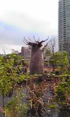 Everyday is a good day!　_d0079830_2311020.jpg