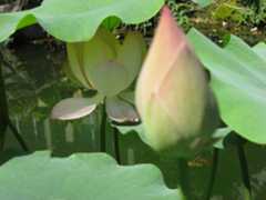 Everyday is a good day!　_d0079830_21552829.jpg