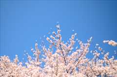 佐奈川_d0156930_149356.jpg