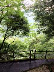 ＯＮ　ＴＨＥ　゛ＫＵＭＡＮＯ\"　ＲＯＡＤ （4）_f0181686_15292378.jpg