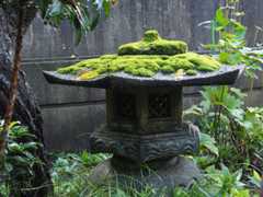 雨上がり・太陽の光！・変な虹_c0248013_20391482.jpg