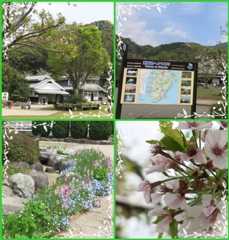 伊豆へプチドライブ旅行…１日目「松崎」へ_b0364186_13575262.jpg