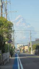 早朝散歩風景・・４月２８日_b0317721_11271550.jpg